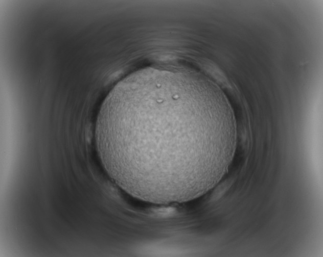 X0000083980374200703091829