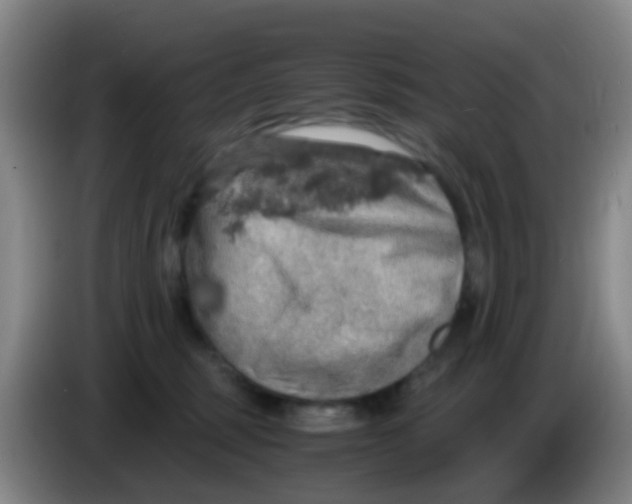 X0000083980375200703091829