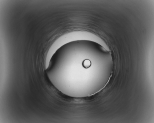 X0000083980376200703091829