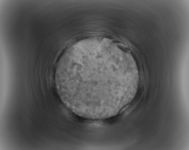 X0000083980377200703091829