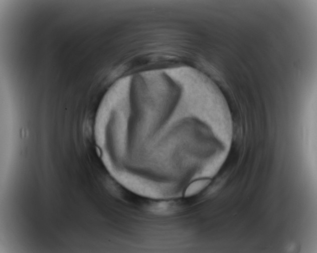 X0000083980382200703091829