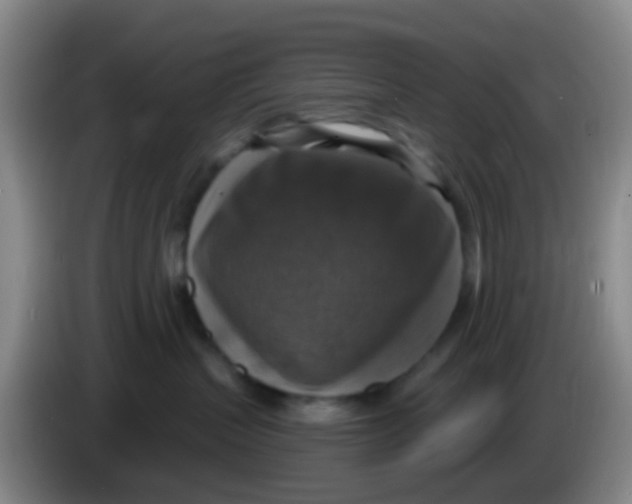 X0000083980383200703091829