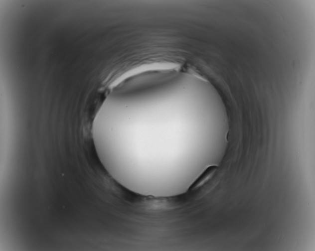 X0000083980384200703091829