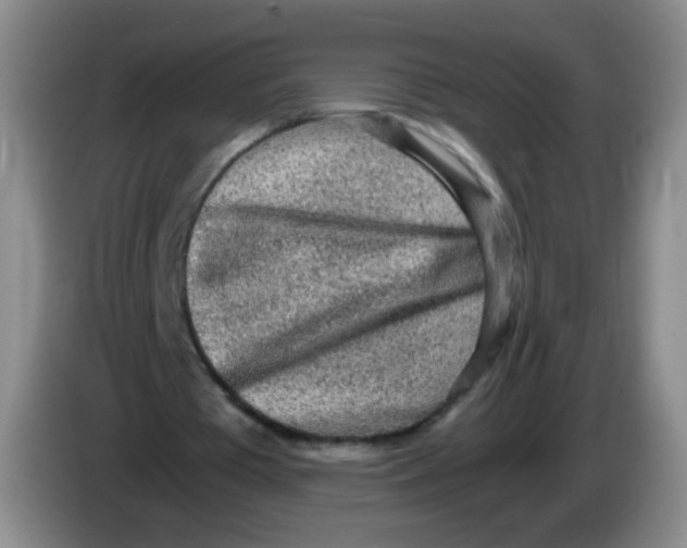 X0000083980385200703091828