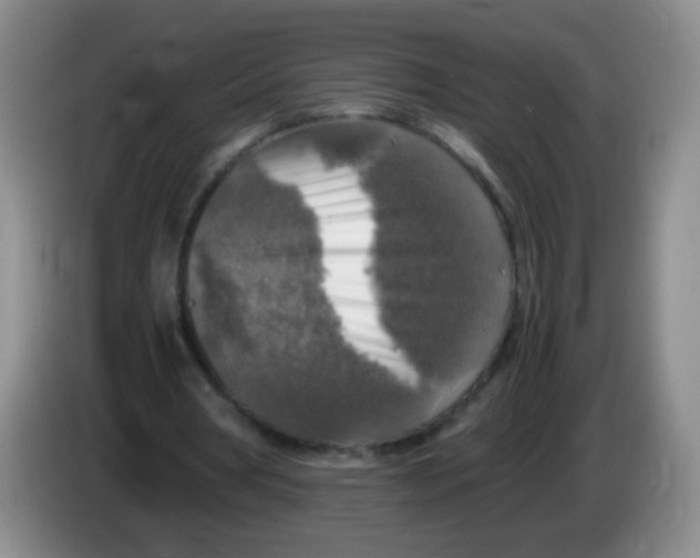 X0000083980386200703091828