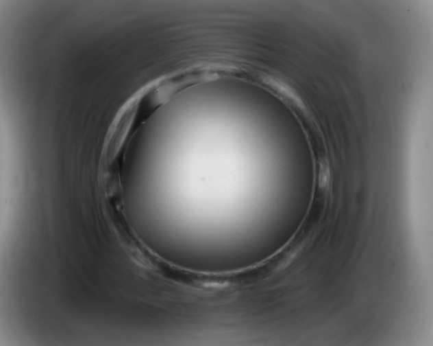 X0000083980388200703091828