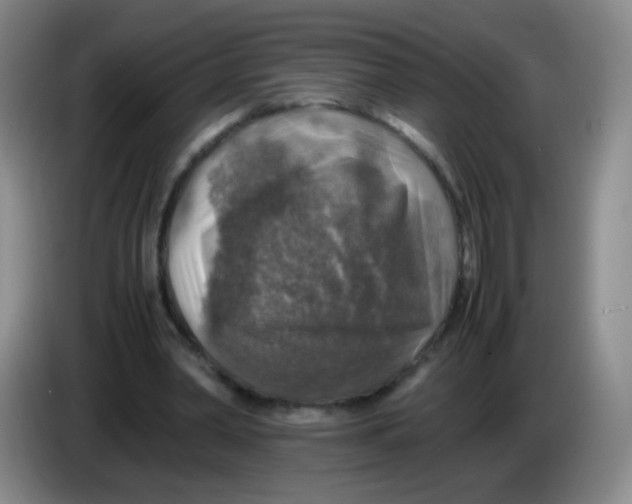 X0000083980390200703091828