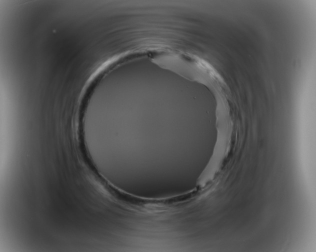 X0000083980391200703091828