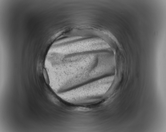 X0000083980393200703091828