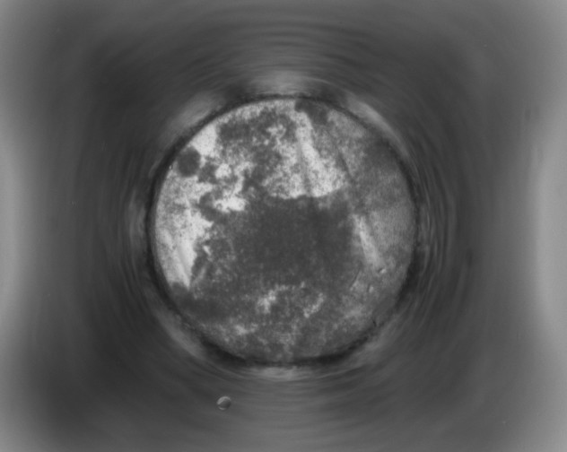 X0000083980394200703091828