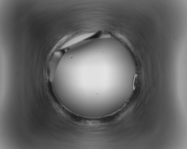 X0000083980395200703091828