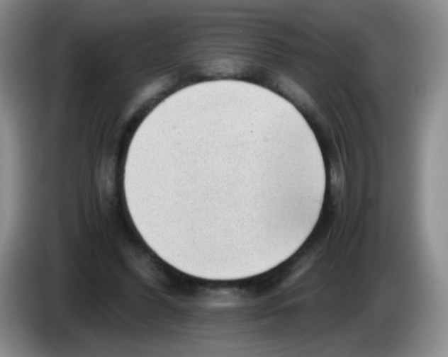 X0000083980396200703091828