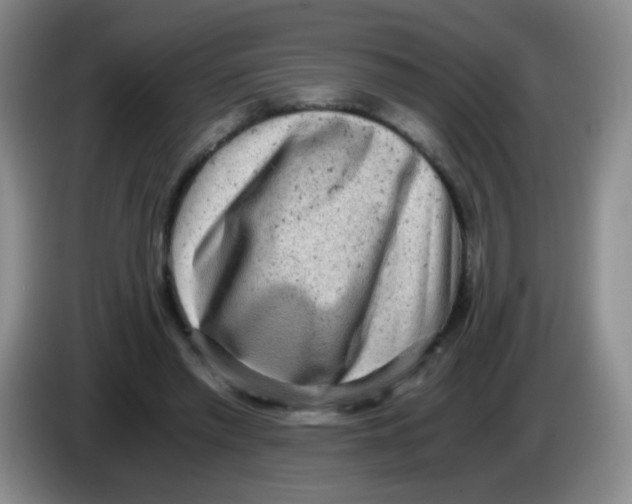 X0000083980397200703091828