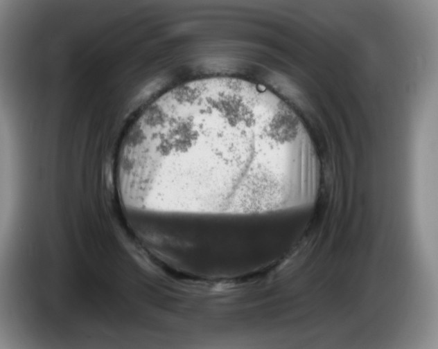 X0000083980398200703091828