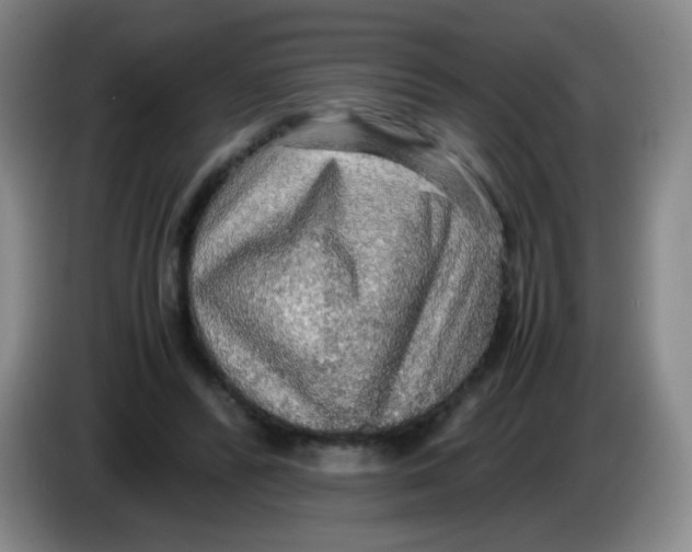 X0000083980400200703091828