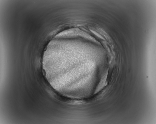 X0000083980401200703091828