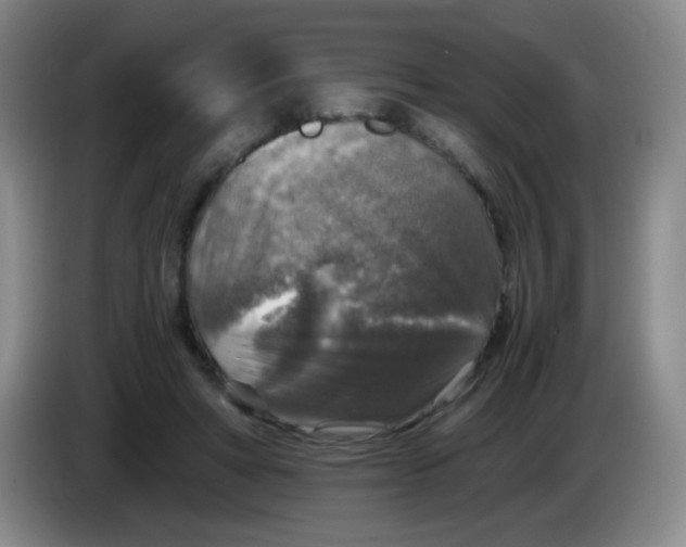 X0000083980402200703091828