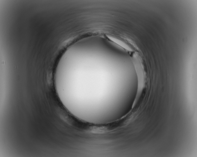 X0000083980403200703091828