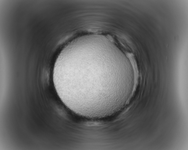 X0000083980404200703091828