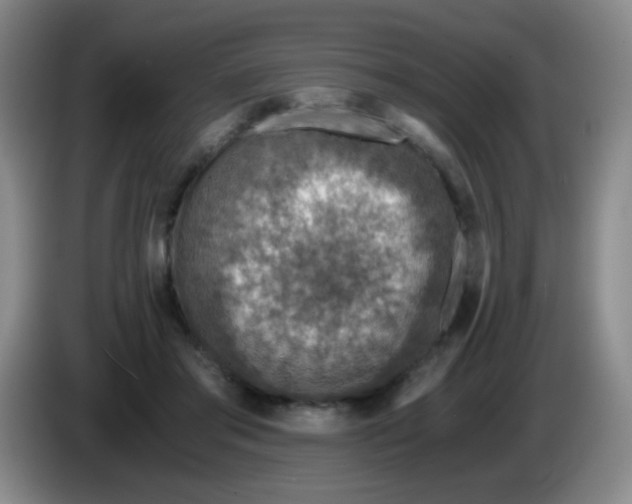 X0000083980405200703091828