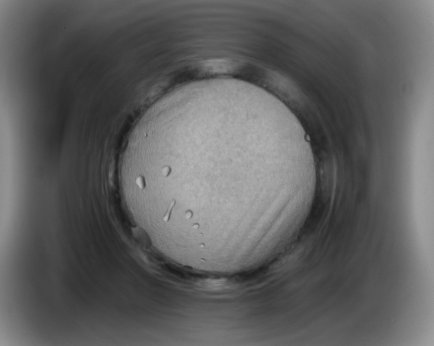 X0000083980406200703091828