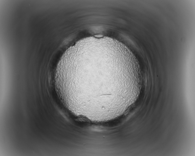 X0000083980408200703091828