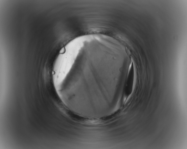 X0000083980410200703091828