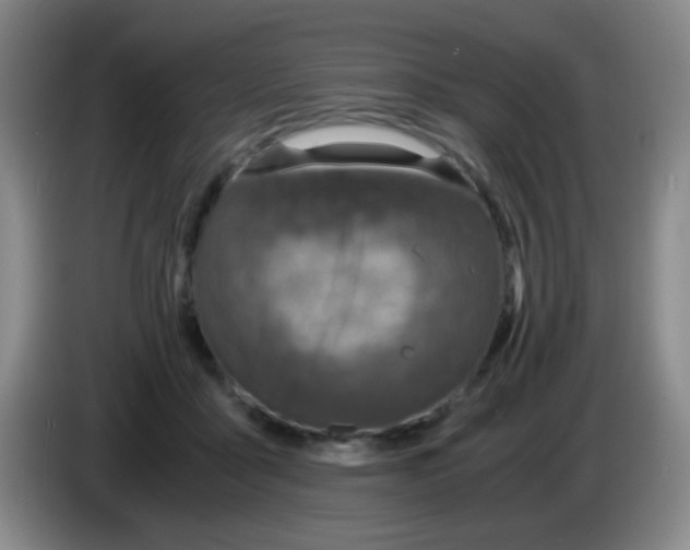 X0000083980411200703091828