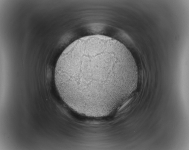 X0000083980412200703091828