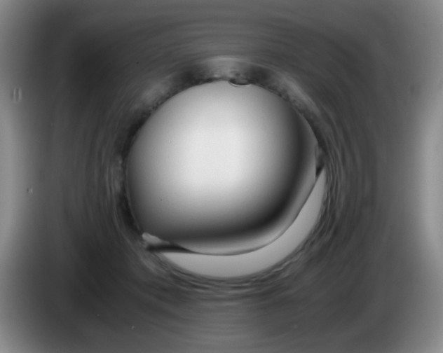 X0000083980413200703091828