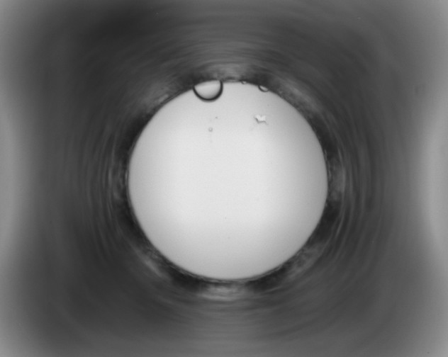 X0000083980414200703091828