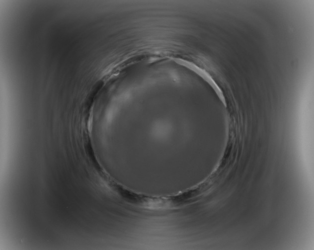 X0000083980415200703091828