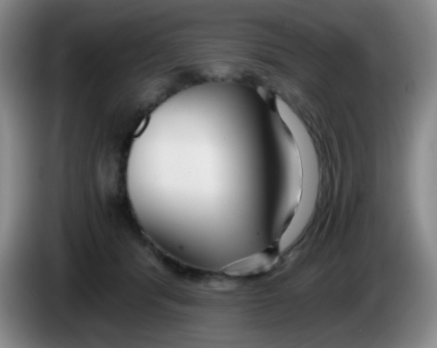 X0000083980416200703091828