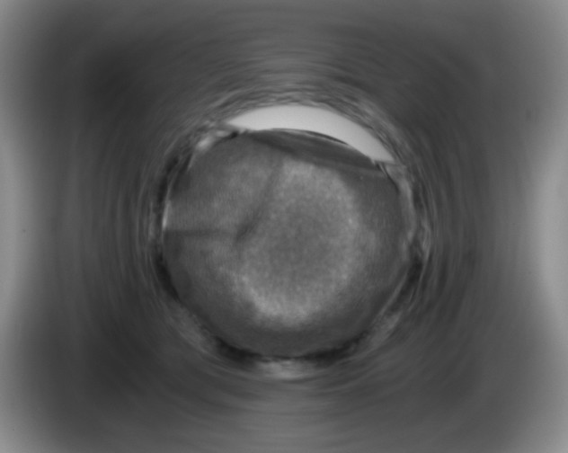 X0000083980417200703091828