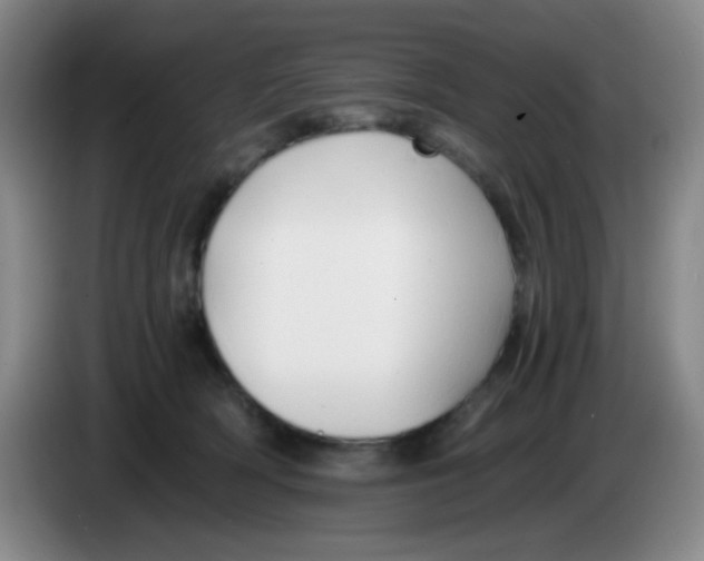 X0000083980418200703091828