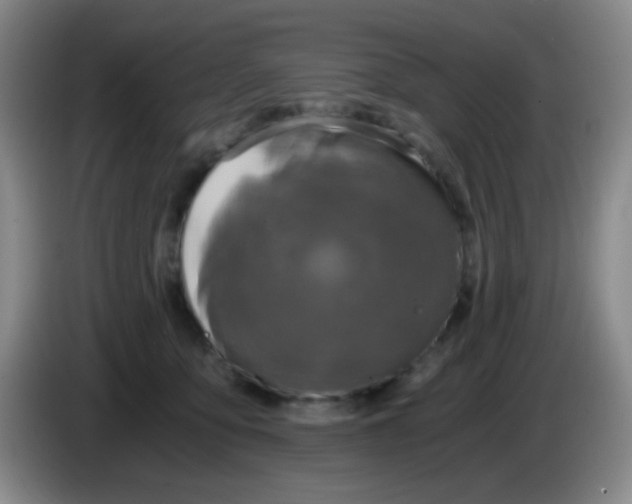 X0000083980419200703091828