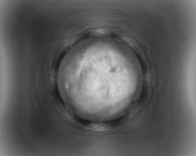 X0000083980423200703091828