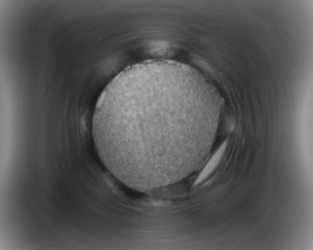 X0000083980424200703091828