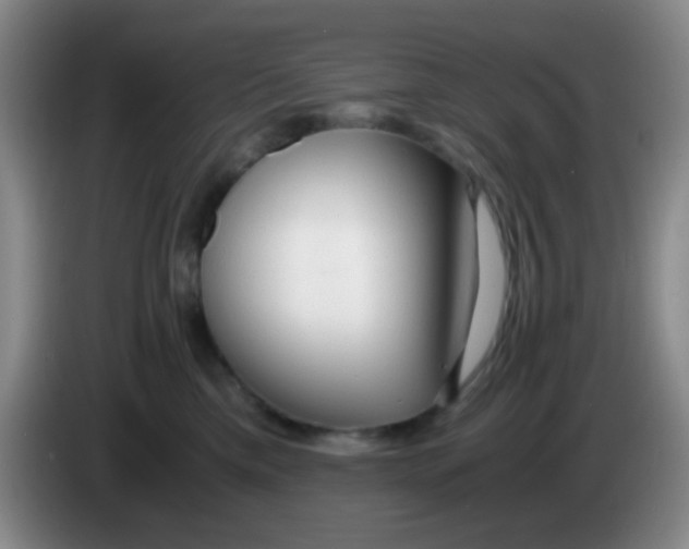 X0000083980425200703091828