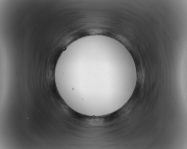 X0000083980426200703091828