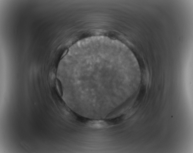 X0000083980427200703091828