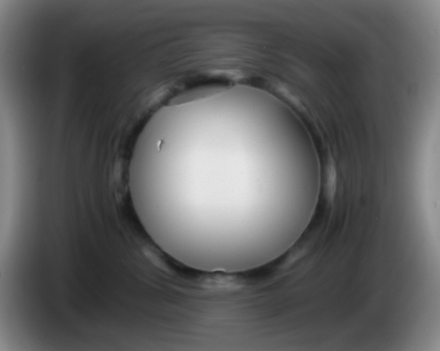 X0000083980428200703091828