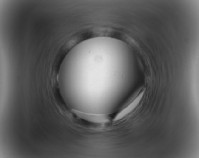 X0000083980429200703091828