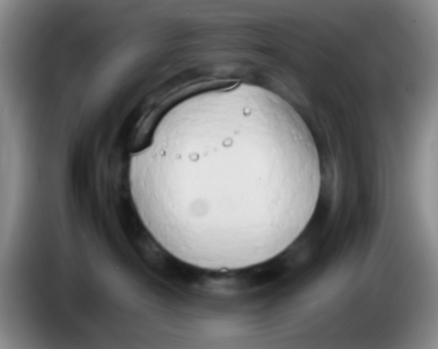 X0000083980430200703091828