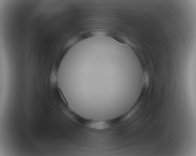 X0000083980431200703091828