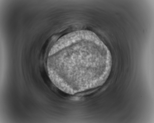 X0000083980432200703091828