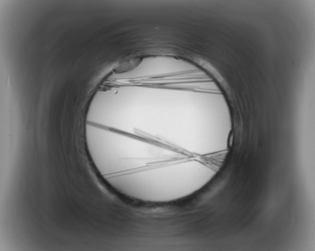 X0000083980433200703091827