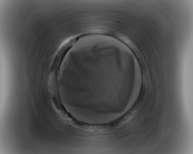 X0000083980434200703091827