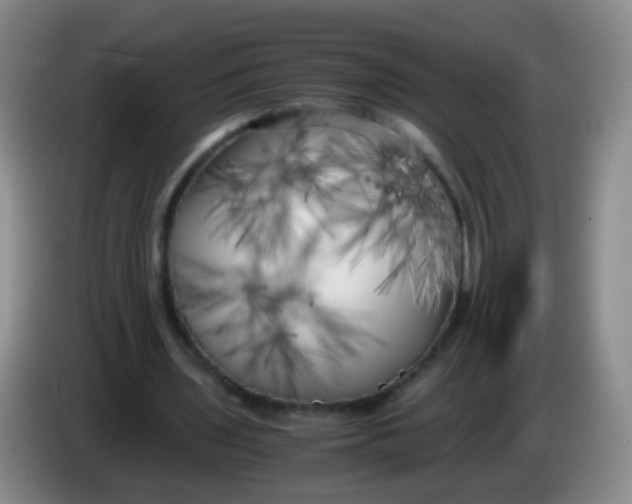 X0000083980435200703091827