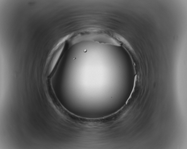 X0000083980436200703091827